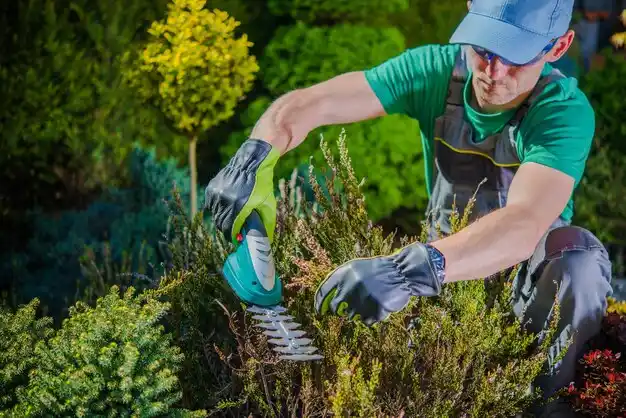 landscaping services Algoma